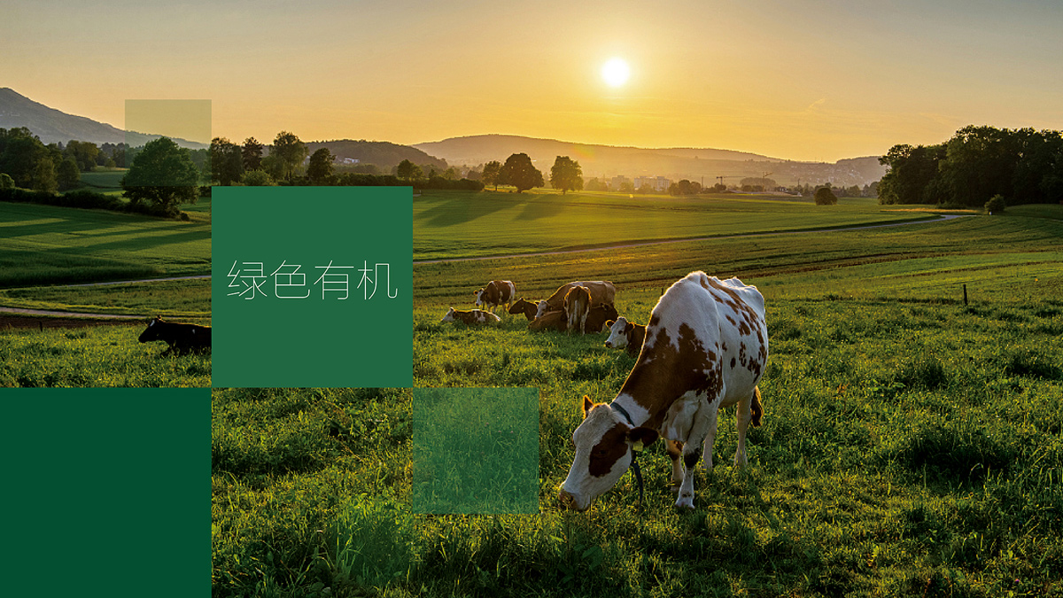 食品行業(yè)VI設(shè)計