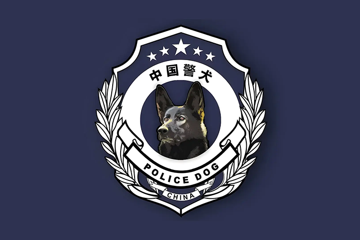 LOOG設(shè)計